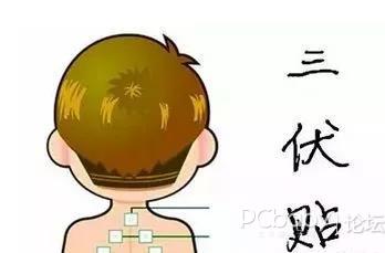 1、三伏貼有用嗎？效果好嗎？