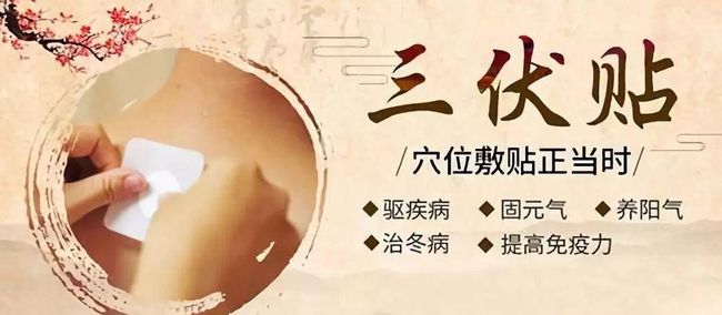 1、三伏貼要連續(xù)貼幾天