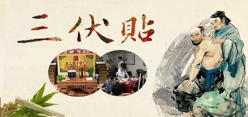 2、什么是三伏貼？三伏貼的作用？